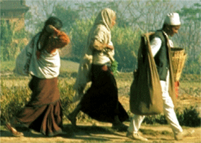 Increasing Access in Rural Areas © WHO Increasing Access in Rural Areas © WHO