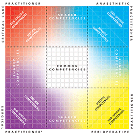 Model of shared competence Model of shared competence